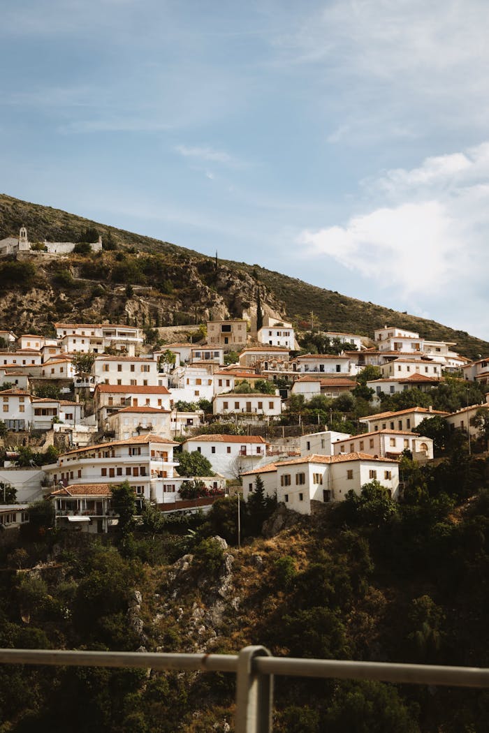 pexels photo 34092791.jpeg